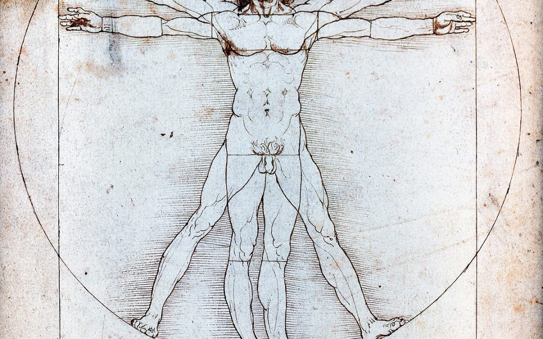 Cannabinoid System – Wie wirkt CBD in unserem Körper?