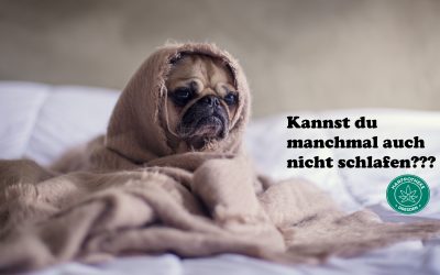 Schlaflose Nächte? CBD hilft dir durch die Nacht!